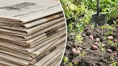 Tijd om je voor te bereiden: zo gebruik je oude kranten in de tuin en op je erf – ze zijn nuttig