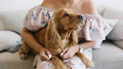 Honden houden meer van je dan je denkt: signalen die meer zeggen dan duizend woorden