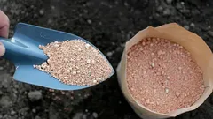 Tuinierstips: dit natuurlijke poeder verdrijft ongedierte en maakt de bodem ideaal